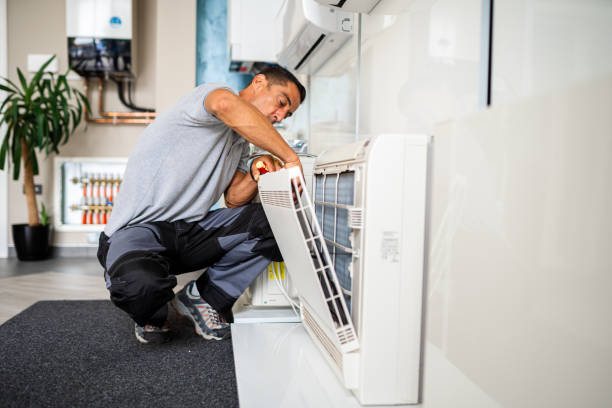 Best Affordable Duct Cleaning Services  in Pelion, SC