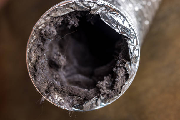 Best HVAC Air Duct Cleaning  in Pelion, SC