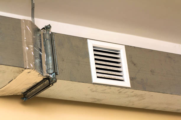 Best Ductwork Cleaning Services  in Pelion, SC